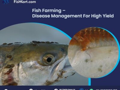 fish medicine online in kolkata